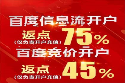 百度推广优化实战技巧与案例解析